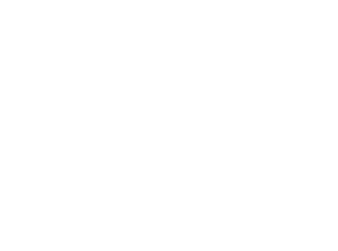 Dorset Museum & Art Gallery logo