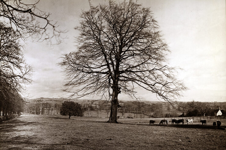 Colliton Park, taken in 1937