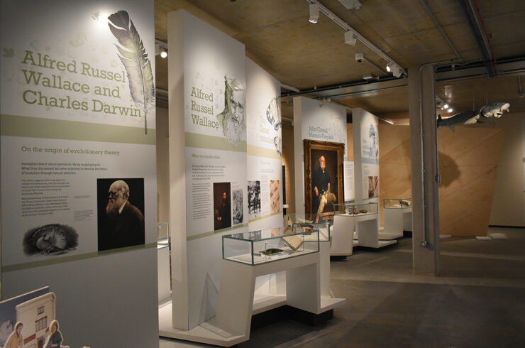 Natural Dorset Gallery