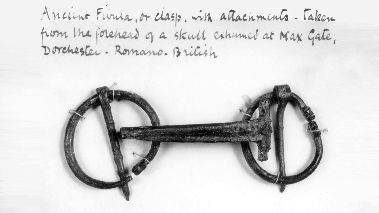 Fig. 3 Ancient fibula