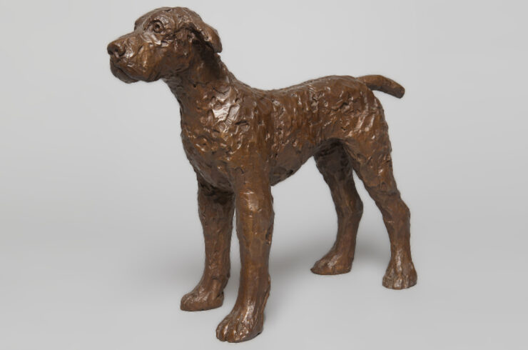 Small Standing Dog, Bronze, edition of 8, 1991 2020.1.27, Artist © in Elisabeth Frink images courtesy of Bree and Tully Jammet/Courtesy Dorset Museum.