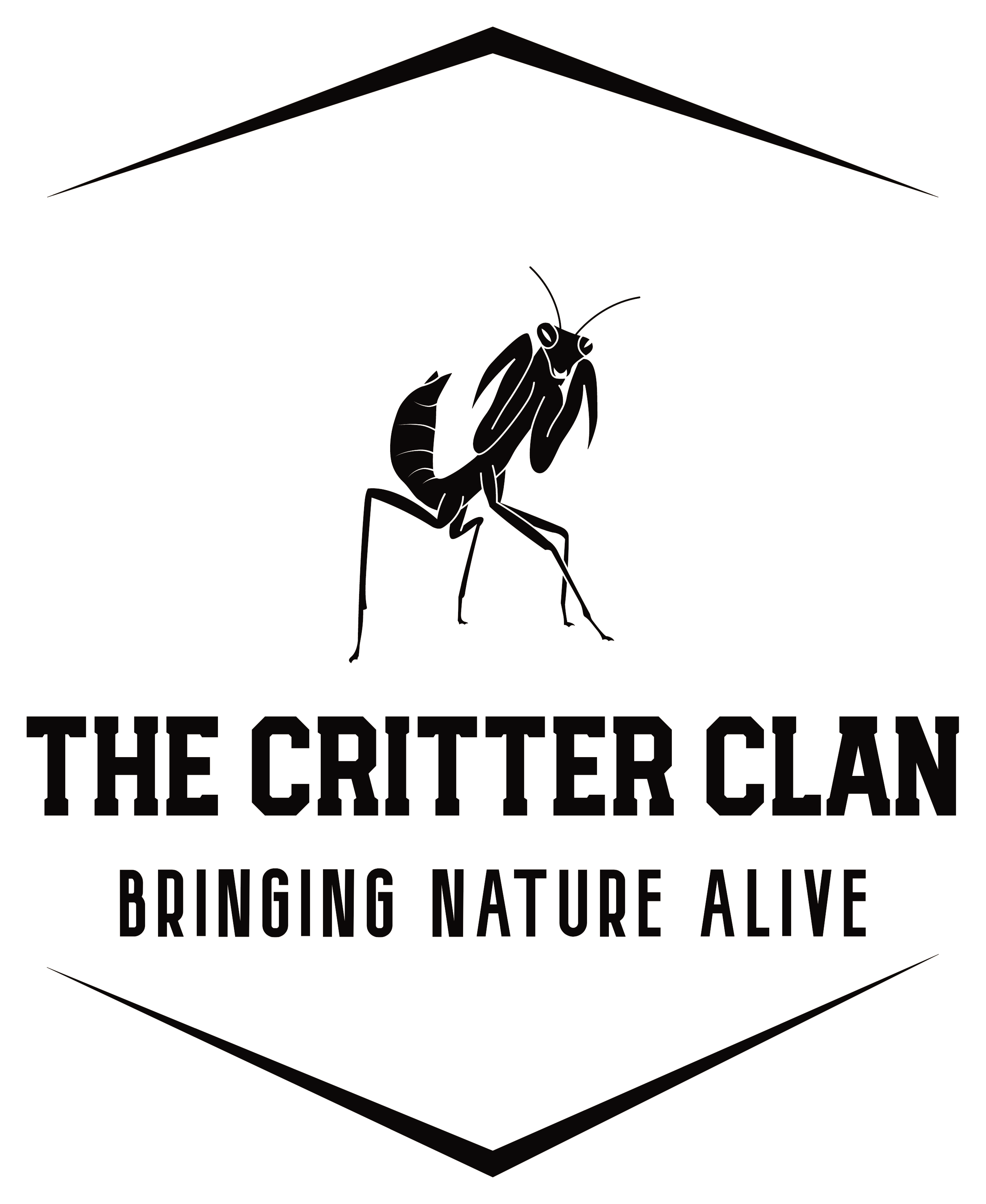 https://www.dorsetmuseum.org/wp-content/uploads/2024/02/Critter-Clan.png