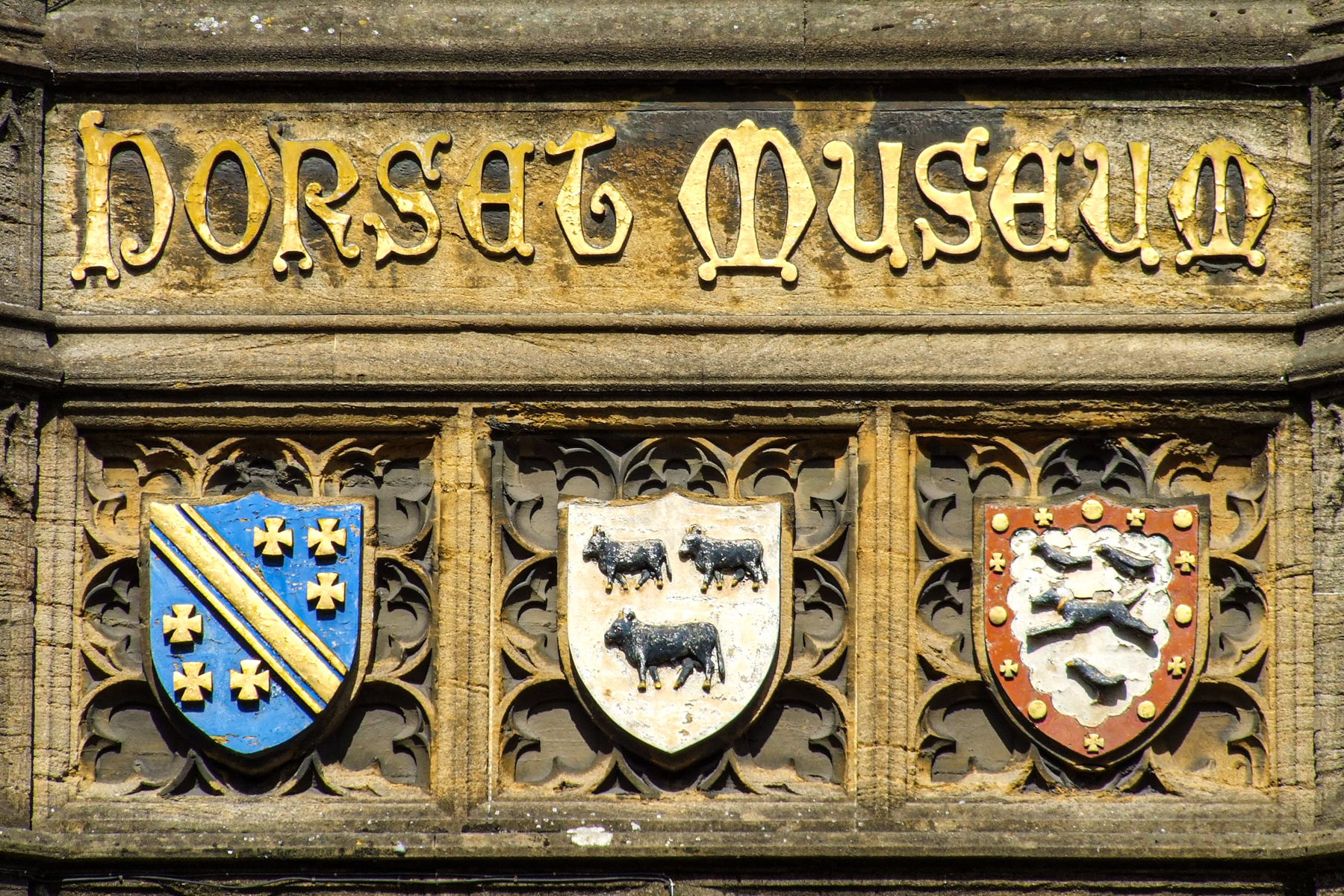Dorset Museum