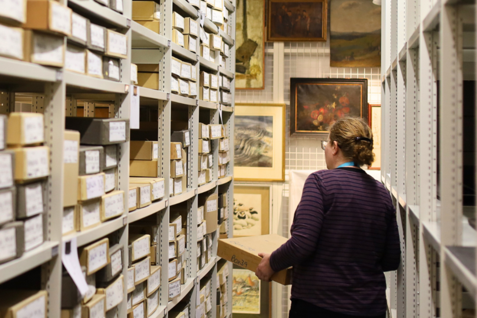 explore-dorset-museum-art-gallery