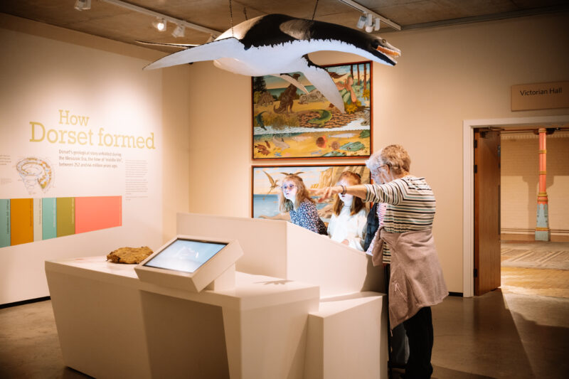 Family Activity Tour